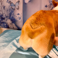 画像2506
