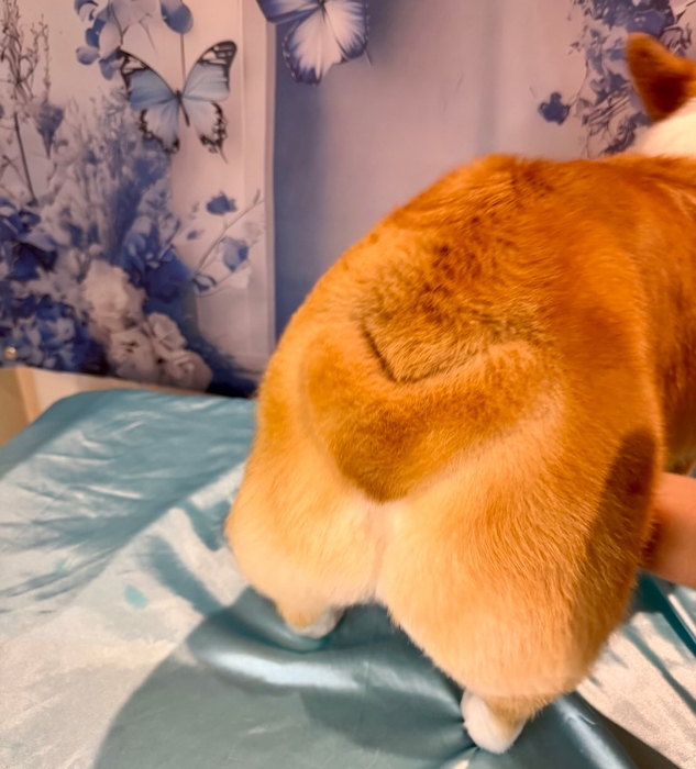 画像2506