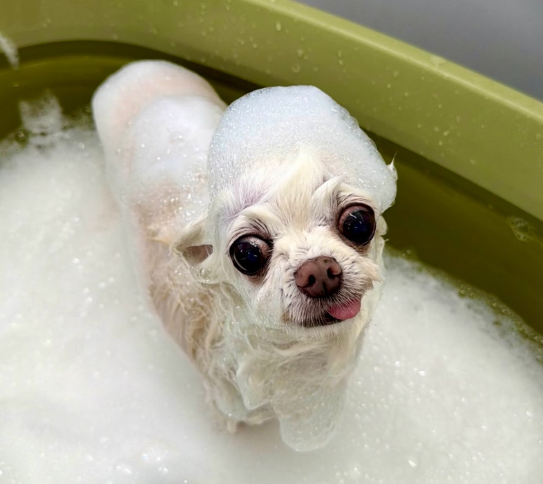 画像2515