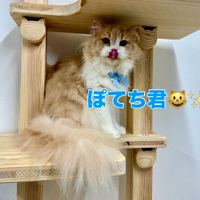 画像2549