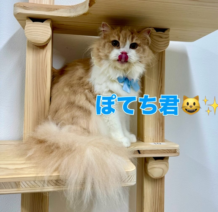 画像2549