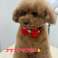 画像255