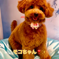 画像2553