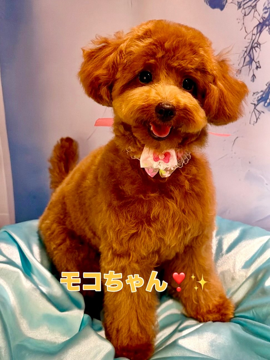 画像2553