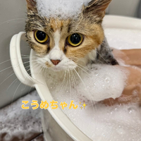 画像2558