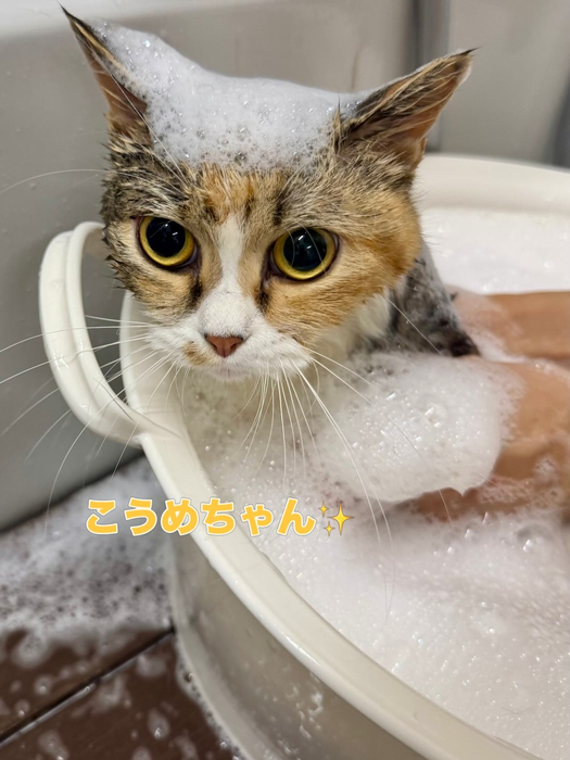 画像2558