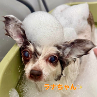 画像2559
