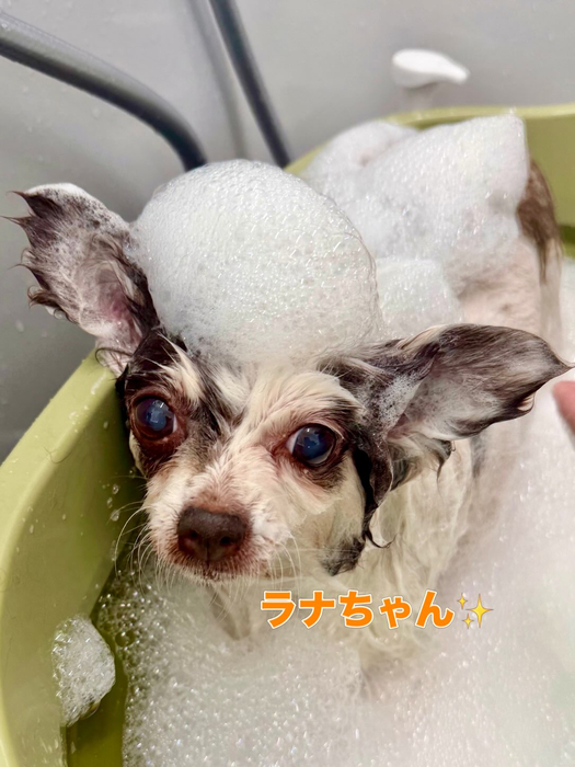 画像2559
