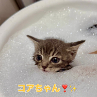 画像2571