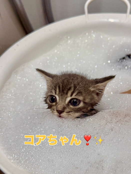 画像2571