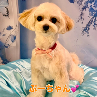 画像2589