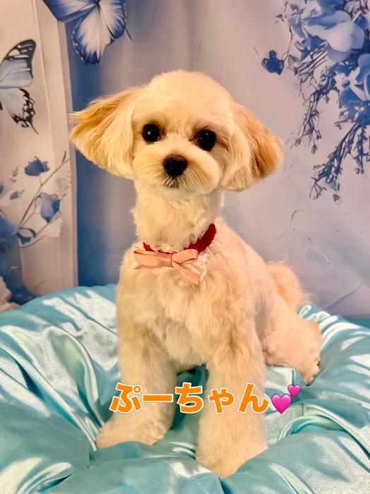 画像2589