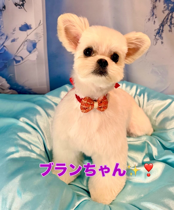 画像2597