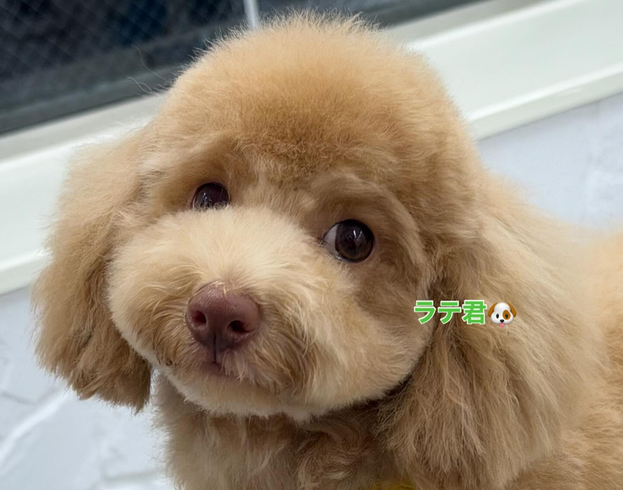 画像261