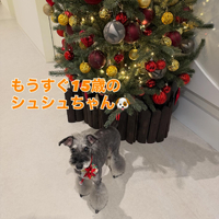 画像267