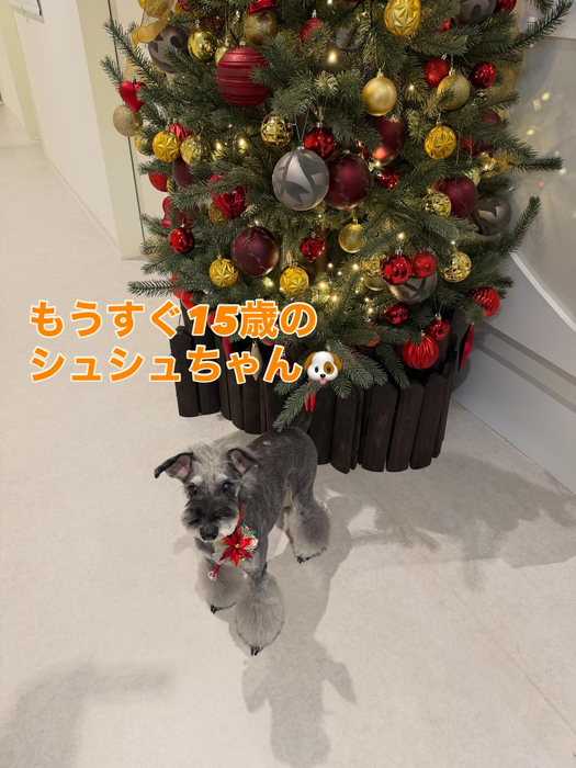 画像267