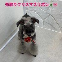 画像269