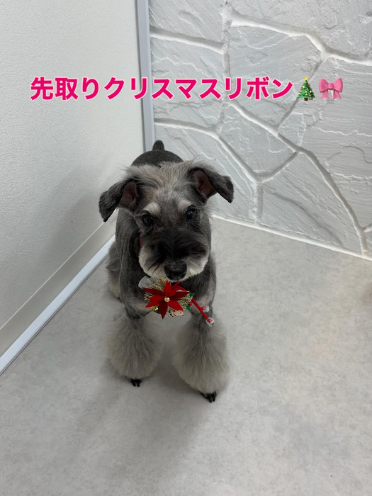 画像269