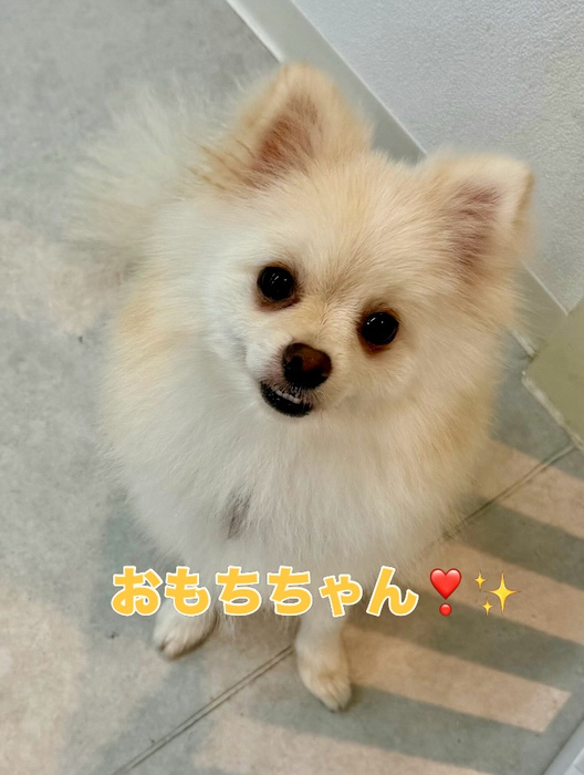 画像2751
