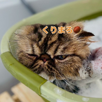 画像276