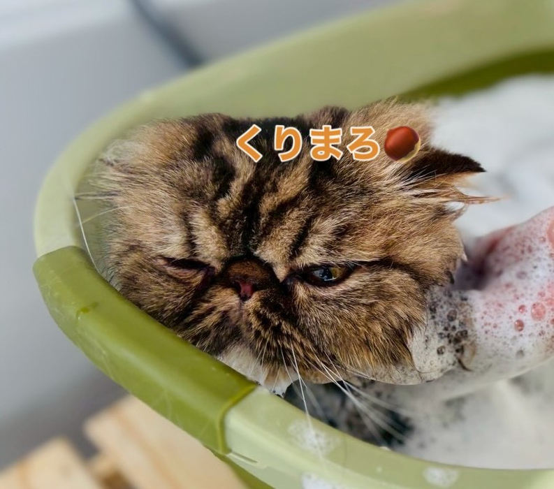 画像276