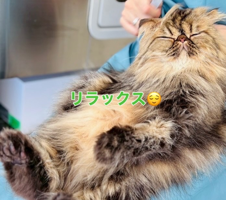 画像277