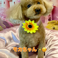 画像2770