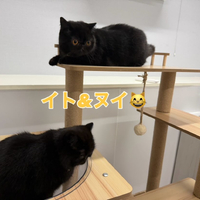 画像280