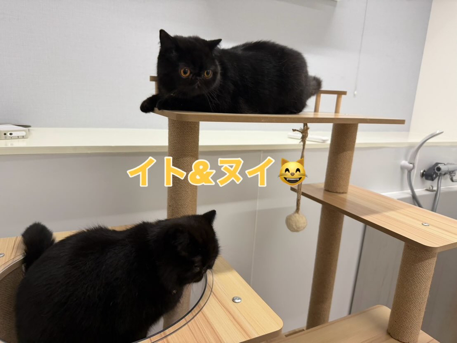 画像280