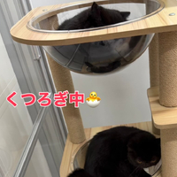 画像281
