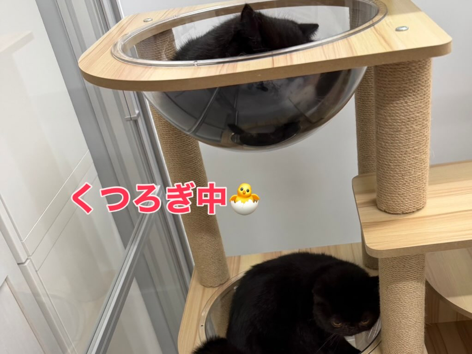 画像281