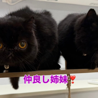 画像282