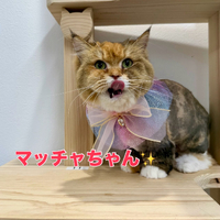 画像2839