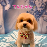 画像2844