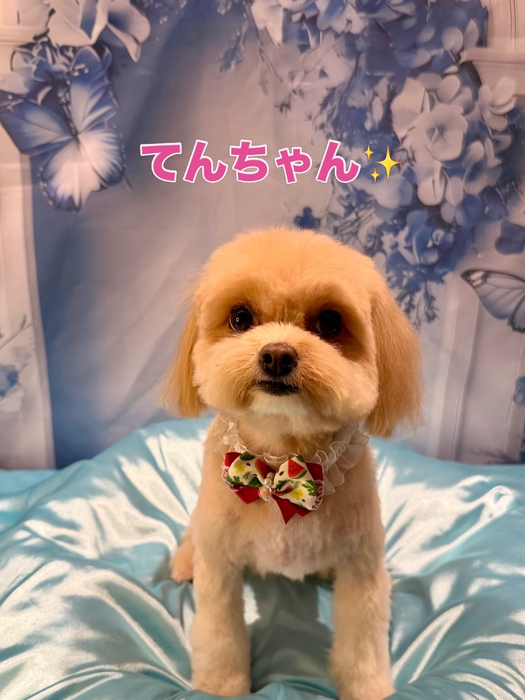 画像2844