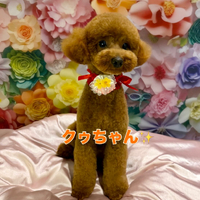 画像2860