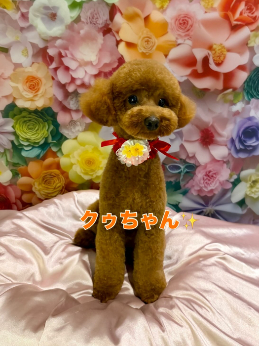 画像2860