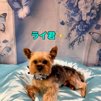 画像2866