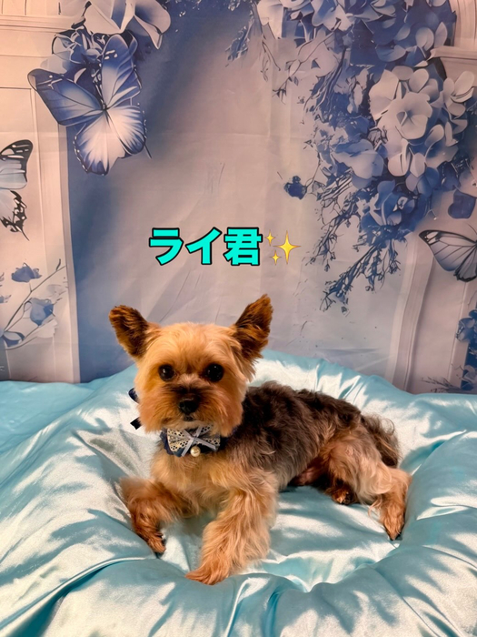 画像2866