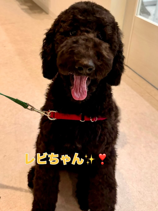 画像2886