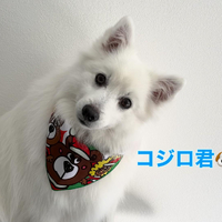画像291
