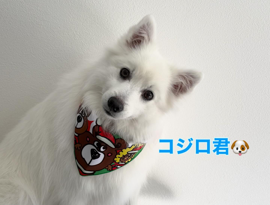 画像291