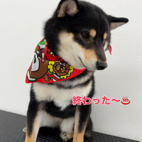 画像296