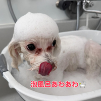 画像297