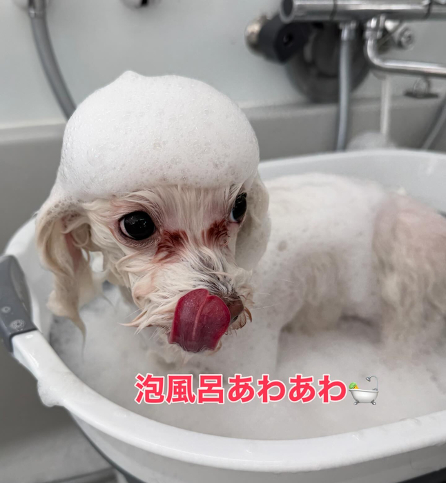 画像297