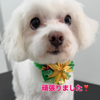 画像298