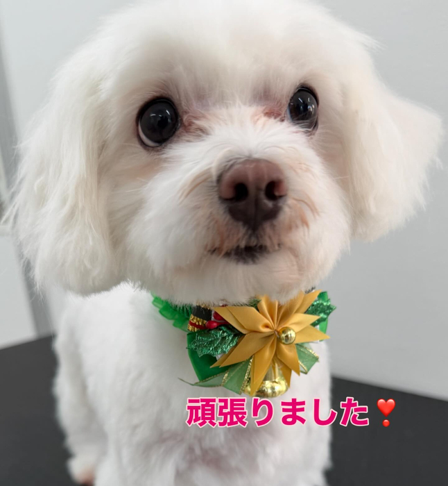 画像298