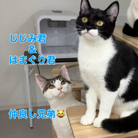 画像300