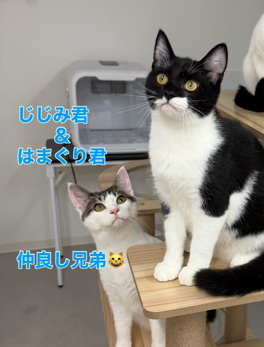 画像300