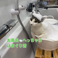 画像301